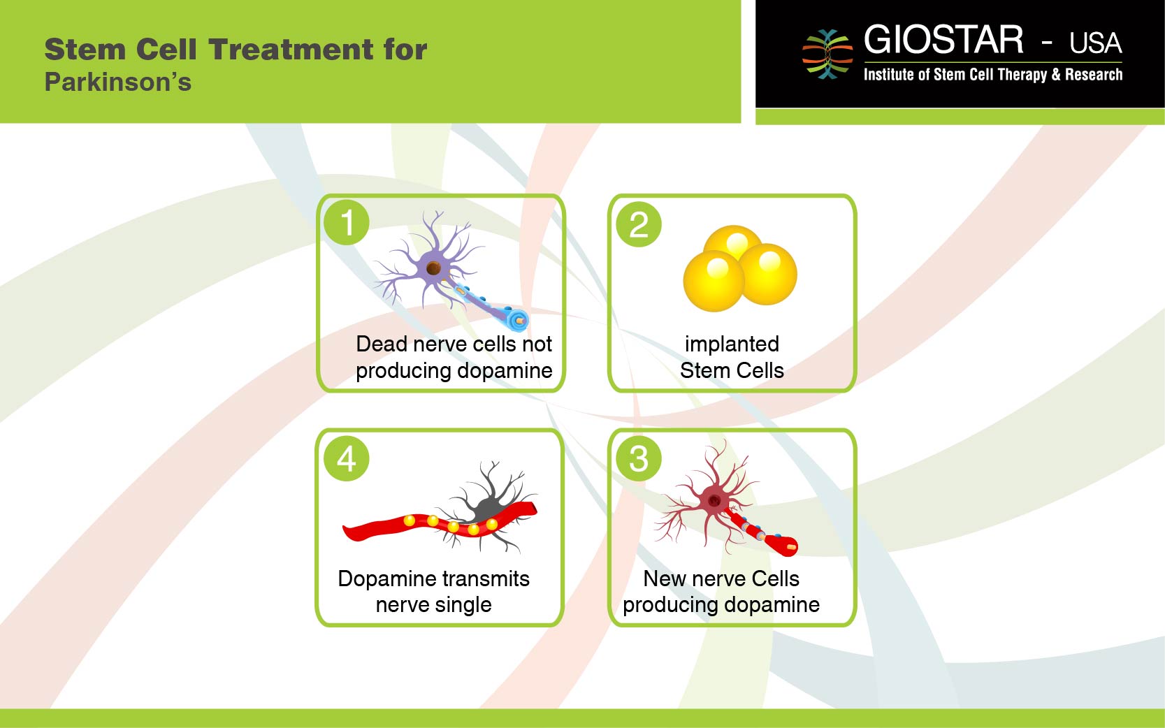 Stem Cell Therapy for Parkinson's, Treatment for Parkinson in India