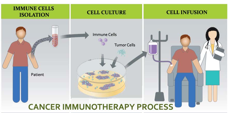 Cancer Immunotherapy Process